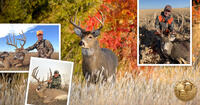 Kansas State Record