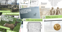Virtual Lesson Plan
