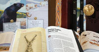 B&C records book