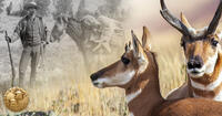 Impact Pronghorn 