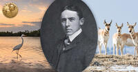 Pearson