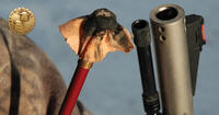 cleaning rifle