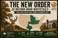 WT new order 