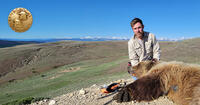 Wesley Sarmento doing grizzly bear research