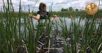 B&C Fellow doing field research