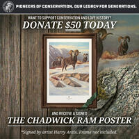 chadwick ram poster promo