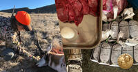 pronghorn hunt and meat processing