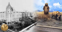 museum collage