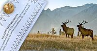 elk and elk tag graphic