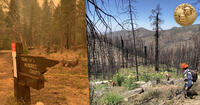 wildlife fire fighters