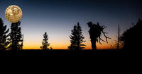 silhouette of hunter