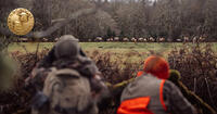 two hunters glassing herd of elk