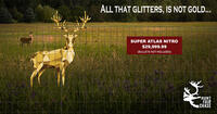 golden deer