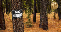 no hunting sign