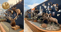 32nd Big Game Awards trophy displays