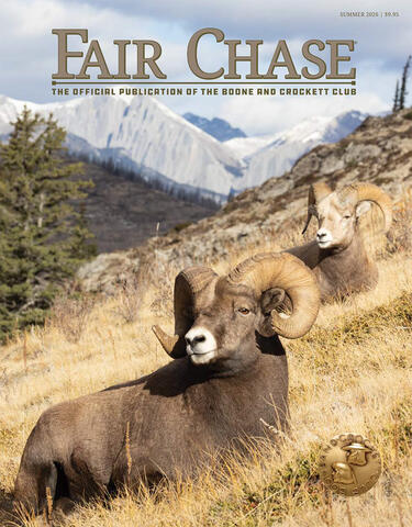Fair Chase Summer 2026