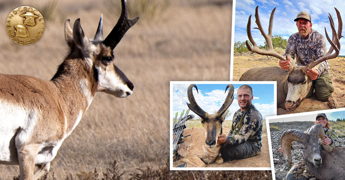 New Mexico State Big Game Records | Boone and Crockett Club
