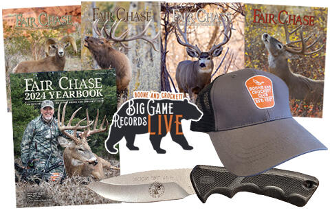 Upgrade to a $250 Membership!