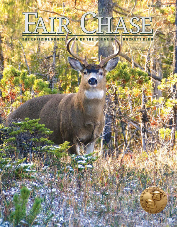 Fair chase spring 2025