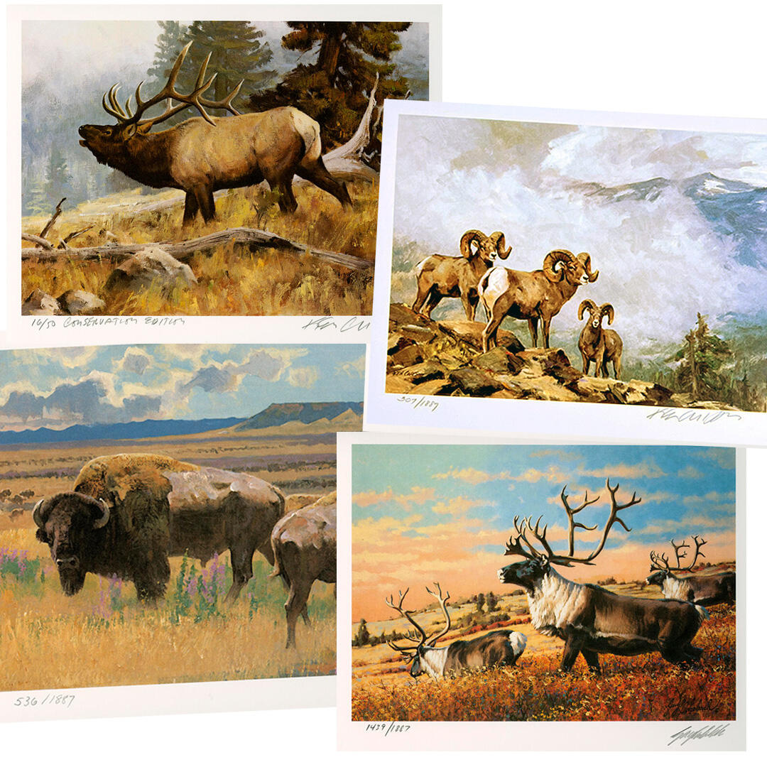 Conservation prints