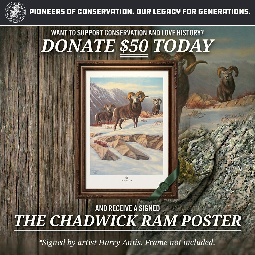 chadwick ram poster promo