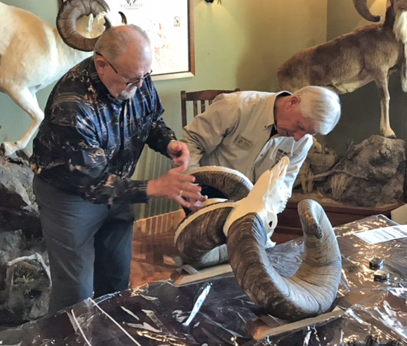 02-28-2018-wrbighorn.jpg