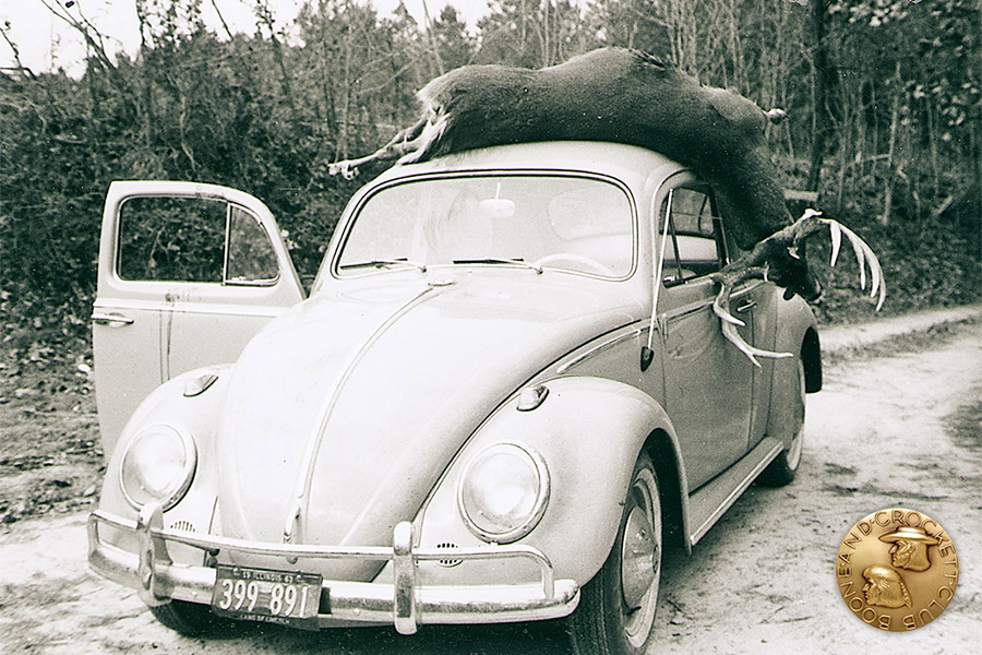 1-12th_higgsbugphoto.jpg