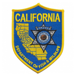 1-9-2018-cadfw.jpg