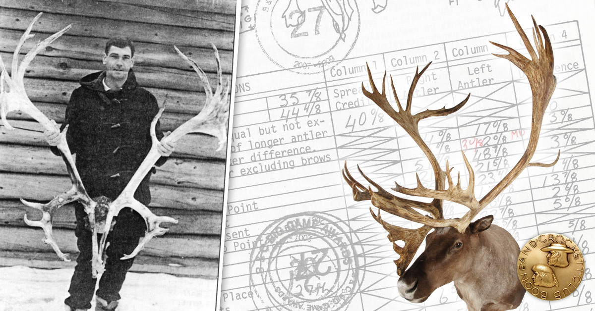 1-mountaincaribou-dueling.jpg