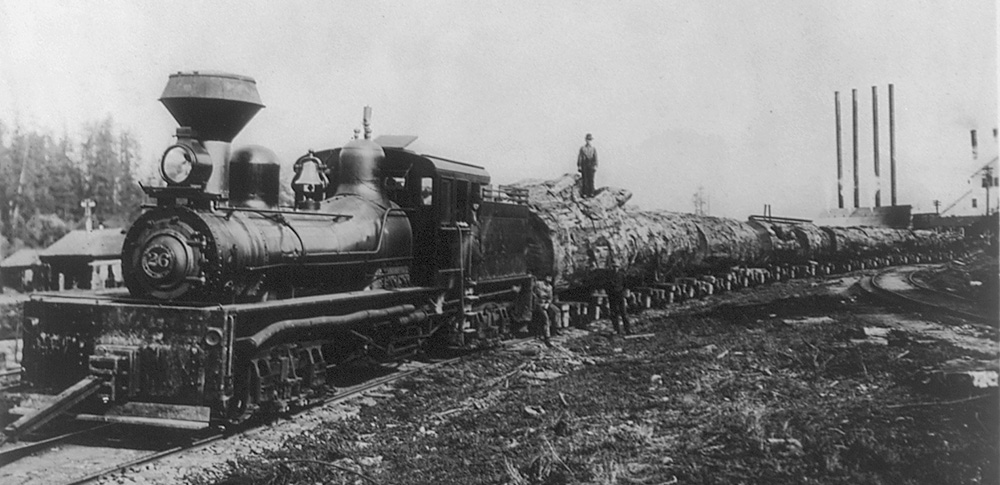 13-impact-redwoods-1train1tree.jpg