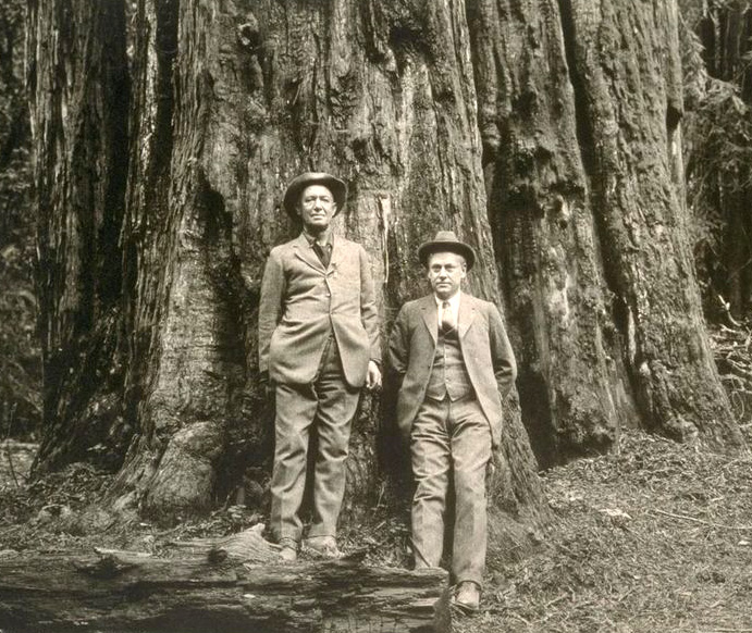 13-impact-redwoods-kentmather.jpg