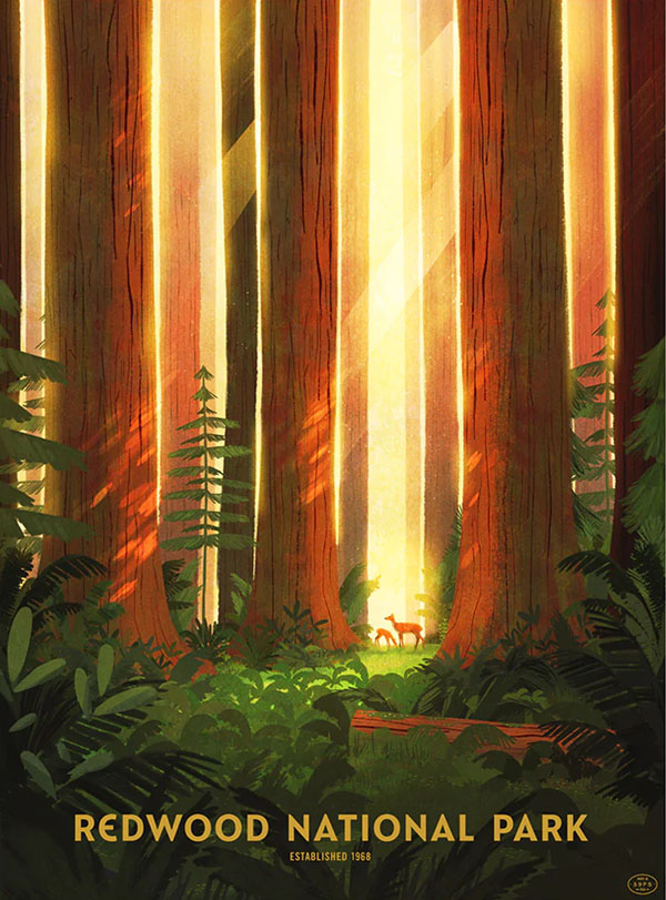 13-impact-redwoods-npposter.jpg