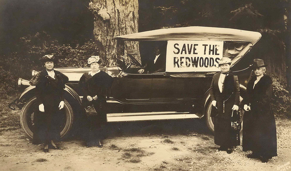 13-impact-redwoods-savetheredwoodsladies.jpg