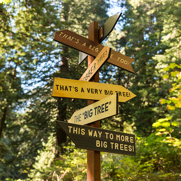 13-impact_redwoods-redwoodnp-bigtreessign.jpg
