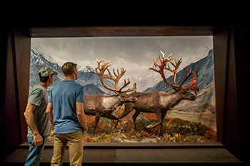 2-28-2019-national-park-diorama-1.jpg