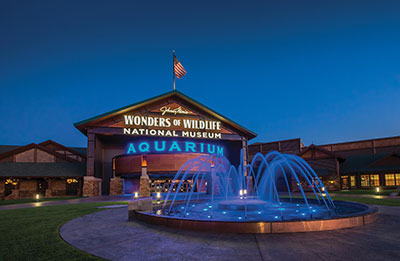 2-28-2019-wow-entrance.jpg