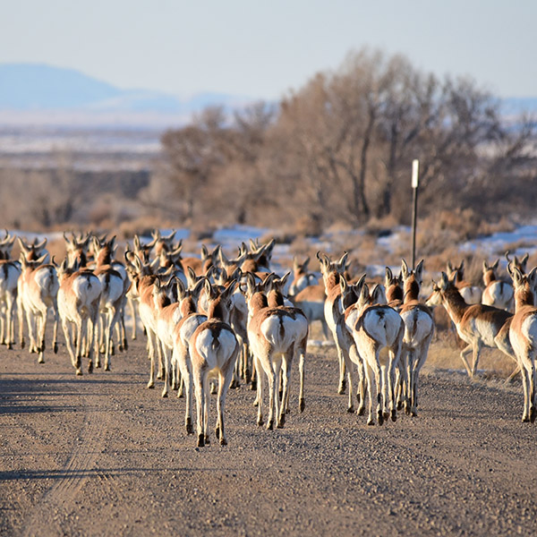 2-tom_koerner-usfws.jpg