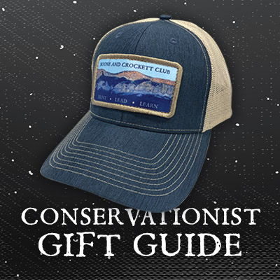 2020holiday-giftguide-sq-conservationist.jpg