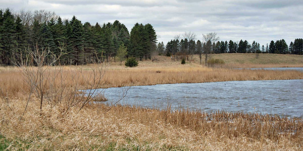 3-30x30-wetlands-mnwetlandbuffer-credit_usda-2.jpg