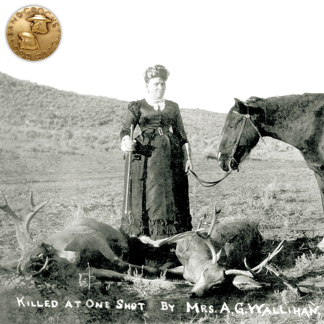 3-colorado1893-gustywallihan.jpg