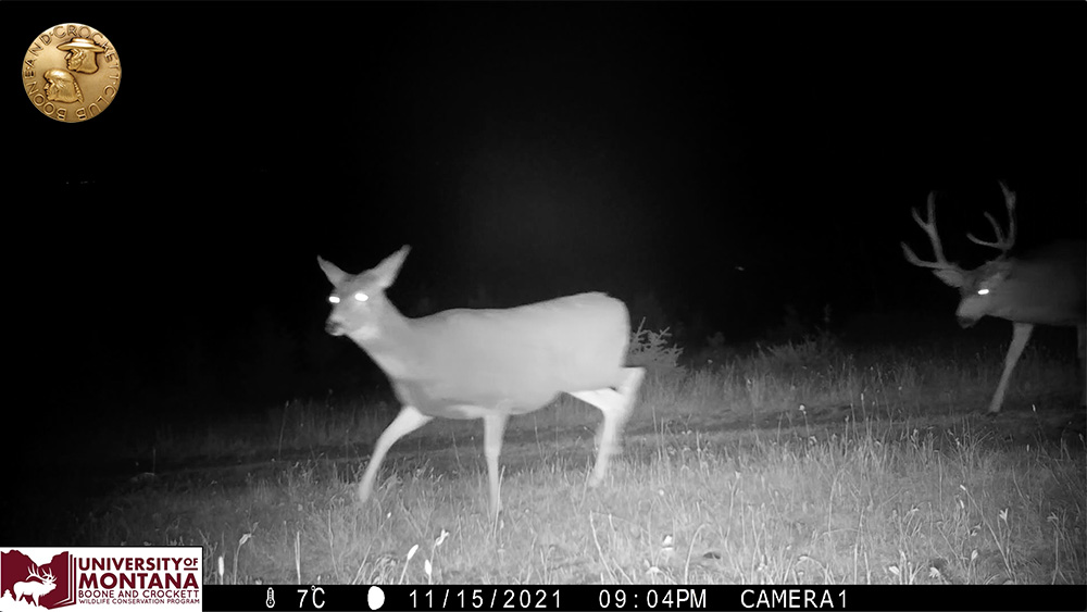 3-mdbuckanddoe.jpg