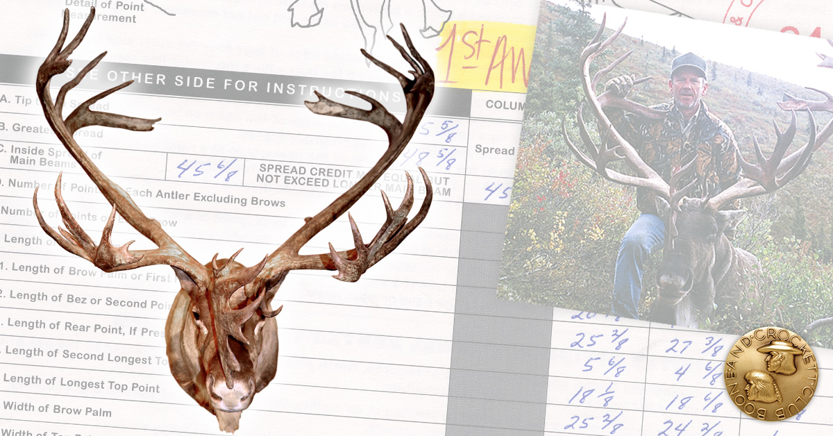 3-mountaincaribou-candlerhunt.jpg