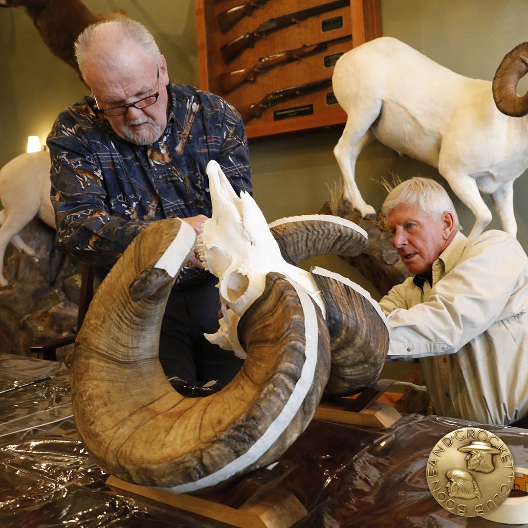 3-pickedup-bighorn-ig.jpg