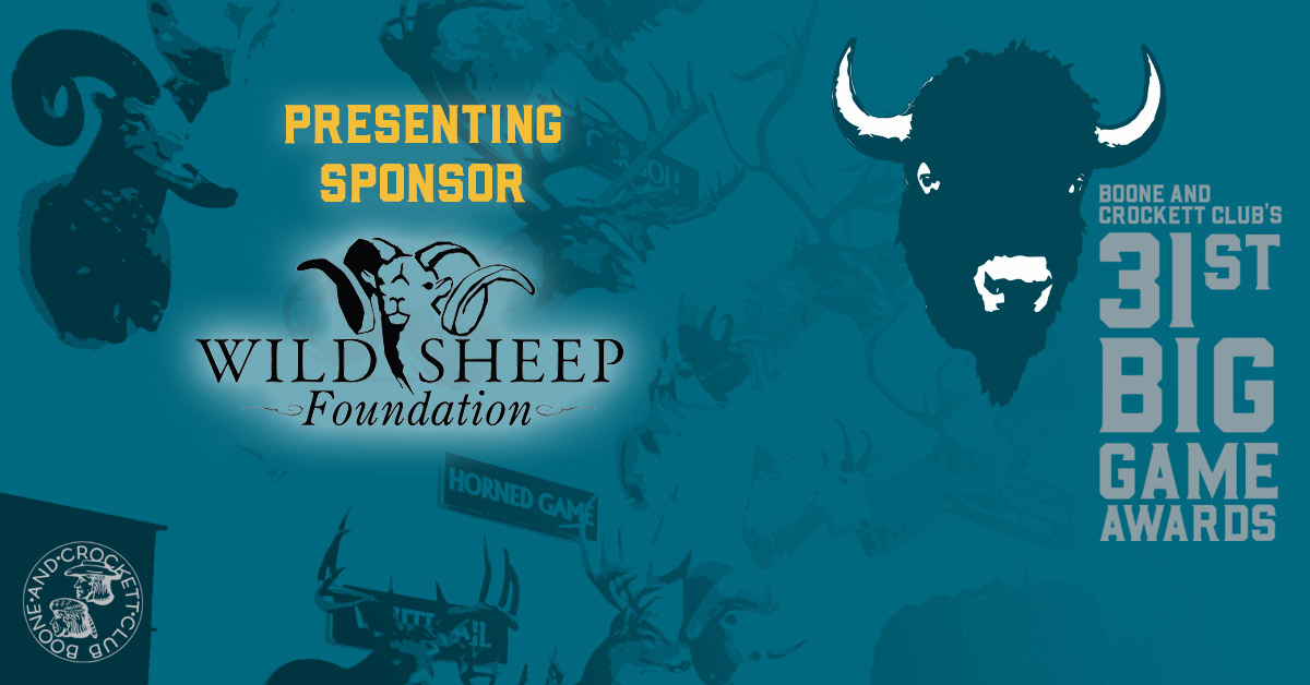 31st-bga-news-wsfsponsor.jpg