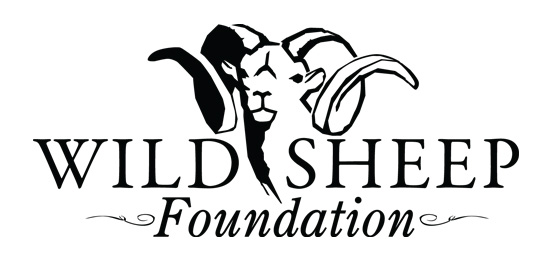 31st-bga-sponsor-wsf.jpg