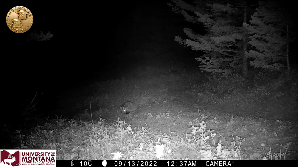 3badger-screenshot.jpg