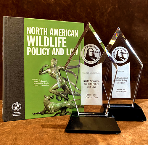 4-17-2019-nawpl_bfawards.jpg