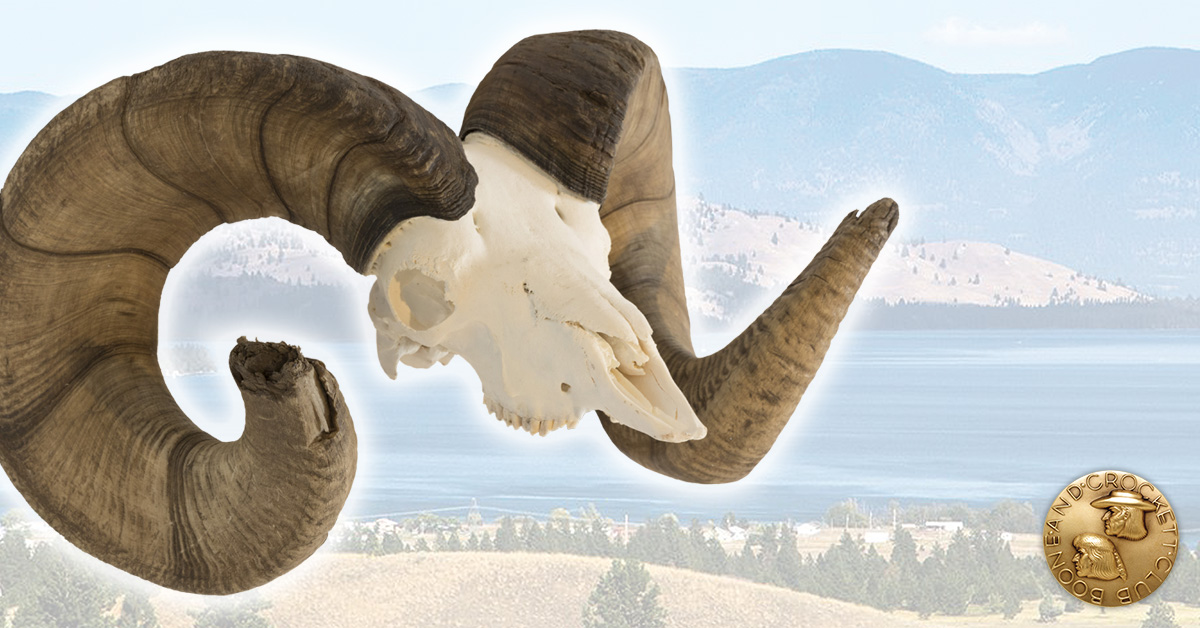 4-wildhorse209.jpg