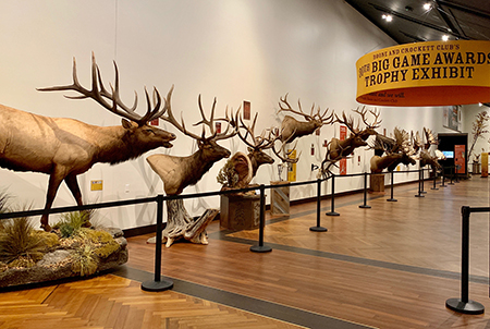 5-7-2019-30th-elk-display.jpg