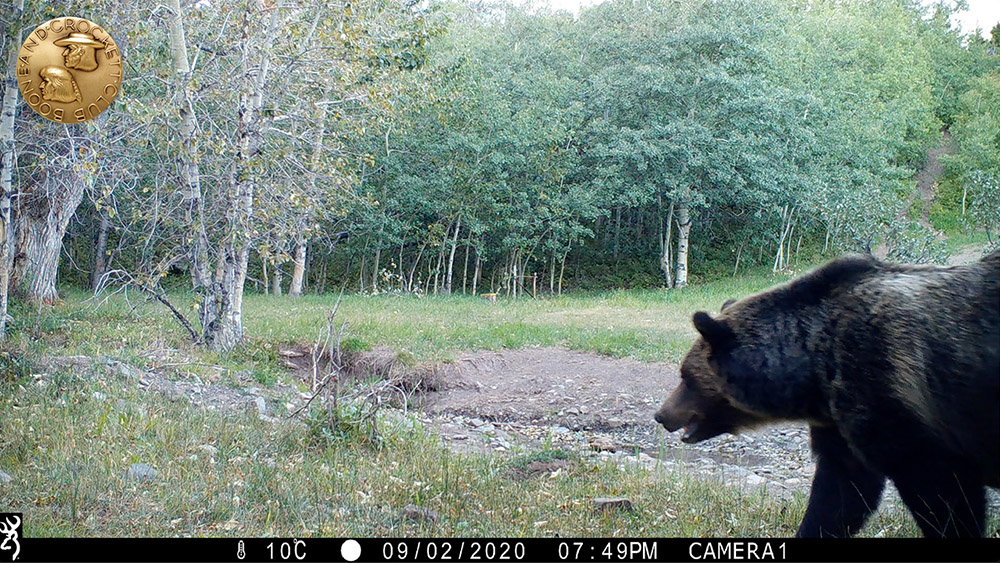 9-2021_11-fatgrizwalking-wp.jpg